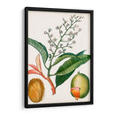 Turpin Tropical Fruit X - Turpin | Cuadro decorativo de Canvas Lab