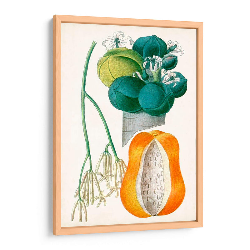 Turpin Tropical Fruit Xii - Turpin | Cuadro decorativo de Canvas Lab