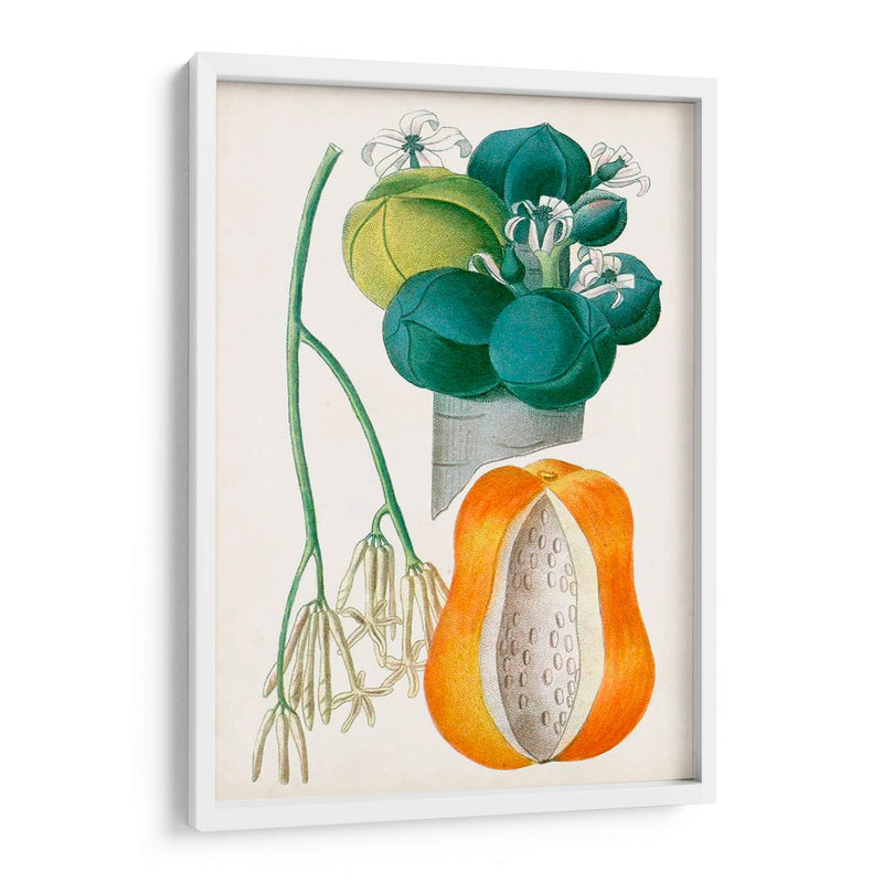 Turpin Tropical Fruit Xii - Turpin | Cuadro decorativo de Canvas Lab