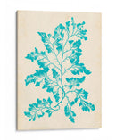 Alga Marina Aguamarina I - Vision Studio | Cuadro decorativo de Canvas Lab