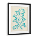 Alga Marina Aguamarina I - Vision Studio | Cuadro decorativo de Canvas Lab