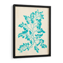 Alga Marina Aguamarina I - Vision Studio | Cuadro decorativo de Canvas Lab