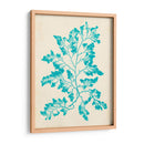 Alga Marina Aguamarina I - Vision Studio | Cuadro decorativo de Canvas Lab