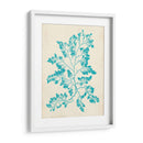 Alga Marina Aguamarina I - Vision Studio | Cuadro decorativo de Canvas Lab