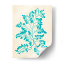 Alga Marina Aguamarina I - Vision Studio | Cuadro decorativo de Canvas Lab