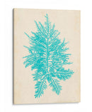 Aquamarine Seaweed Iii - Vision Studio | Cuadro decorativo de Canvas Lab