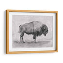 Estudio De Bisonte Salvaje I - Emma Scarvey | Cuadro decorativo de Canvas Lab