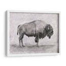 Estudio De Bisonte Salvaje I - Emma Scarvey | Cuadro decorativo de Canvas Lab