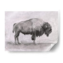Estudio De Bisonte Salvaje I - Emma Scarvey | Cuadro decorativo de Canvas Lab