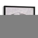 Estudio De Bison Wild Bison Ii - Emma Scarvey | Cuadro decorativo de Canvas Lab