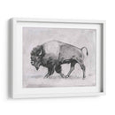 Estudio De Bison Wild Bison Ii - Emma Scarvey | Cuadro decorativo de Canvas Lab