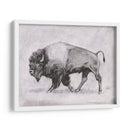 Estudio De Bison Wild Bison Ii - Emma Scarvey | Cuadro decorativo de Canvas Lab