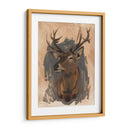 Ciervo Rojo Stag Ii - W. Rutledge | Cuadro decorativo de Canvas Lab