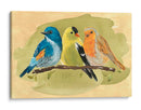 Pájaro Perch I - Jacob Green | Cuadro decorativo de Canvas Lab