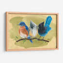 Pájaro Perca Iii - Jacob Green | Cuadro decorativo de Canvas Lab