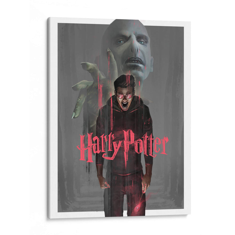 La furia de Potter | Cuadro decorativo de Canvas Lab
