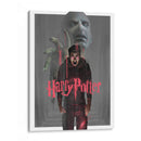La furia de Potter | Cuadro decorativo de Canvas Lab