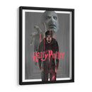La furia de Potter | Cuadro decorativo de Canvas Lab
