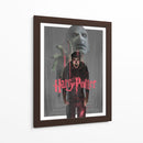 La furia de Potter | Cuadro decorativo de Canvas Lab