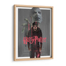 La furia de Potter | Cuadro decorativo de Canvas Lab