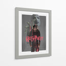 La furia de Potter | Cuadro decorativo de Canvas Lab