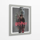 La furia de Potter | Cuadro decorativo de Canvas Lab