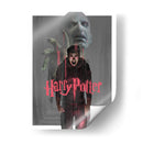 La furia de Potter | Cuadro decorativo de Canvas Lab