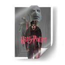 La furia de Potter | Cuadro decorativo de Canvas Lab