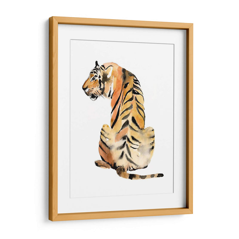 Sentado Tigre Ii - Jennifer Goldberger | Cuadro decorativo de Canvas Lab