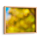 Paisaje Suave Vi - James McLoughlin | Cuadro decorativo de Canvas Lab