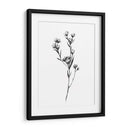 Tabaño Salvaje I - Emma Scarvey | Cuadro decorativo de Canvas Lab