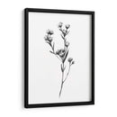 Tabaño Salvaje I - Emma Scarvey | Cuadro decorativo de Canvas Lab