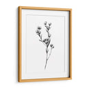 Tabaño Salvaje I - Emma Scarvey | Cuadro decorativo de Canvas Lab