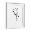 Tabaño Salvaje I - Emma Scarvey | Cuadro decorativo de Canvas Lab