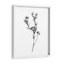 Tabaño Salvaje I - Emma Scarvey | Cuadro decorativo de Canvas Lab