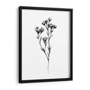 Tabaño Salvaje Ii - Emma Scarvey | Cuadro decorativo de Canvas Lab