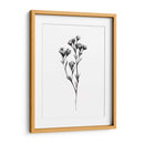 Tabaño Salvaje Ii - Emma Scarvey | Cuadro decorativo de Canvas Lab