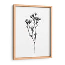 Tabaño Salvaje Ii - Emma Scarvey | Cuadro decorativo de Canvas Lab