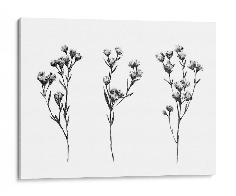 Tabaño Salvaje Iv - Emma Scarvey | Cuadro decorativo de Canvas Lab
