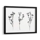 Tabaño Salvaje Iv - Emma Scarvey | Cuadro decorativo de Canvas Lab