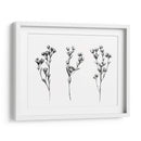 Tabaño Salvaje Iv - Emma Scarvey | Cuadro decorativo de Canvas Lab