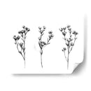 Tabaño Salvaje Iv - Emma Scarvey | Cuadro decorativo de Canvas Lab