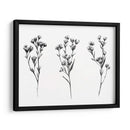 Tabaño Salvaje V - Emma Scarvey | Cuadro decorativo de Canvas Lab