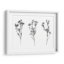 Tabaño Salvaje V - Emma Scarvey | Cuadro decorativo de Canvas Lab