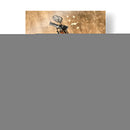 Jinete Metálico Ii - Jacob Green | Cuadro decorativo de Canvas Lab