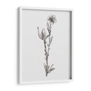 Stem Still Life I - Melissa Wang | Cuadro decorativo de Canvas Lab