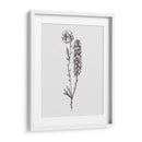 Stem Still Life Ii - Melissa Wang | Cuadro decorativo de Canvas Lab