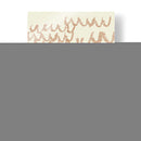 Fealloped Ii - Jennifer Goldberger | Cuadro decorativo de Canvas Lab