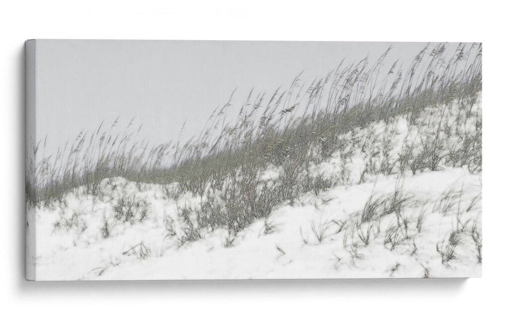 Dunas Exuberantes I - Sharon Chandler | Cuadro decorativo de Canvas Lab