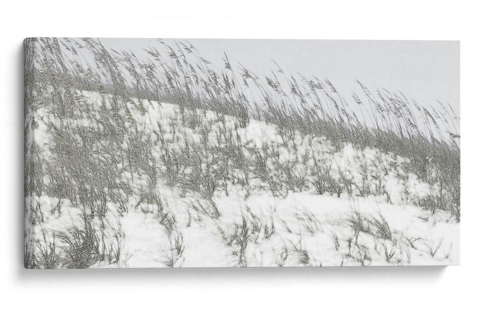 Dunas Exuberantes Ii - Sharon Chandler | Cuadro decorativo de Canvas Lab